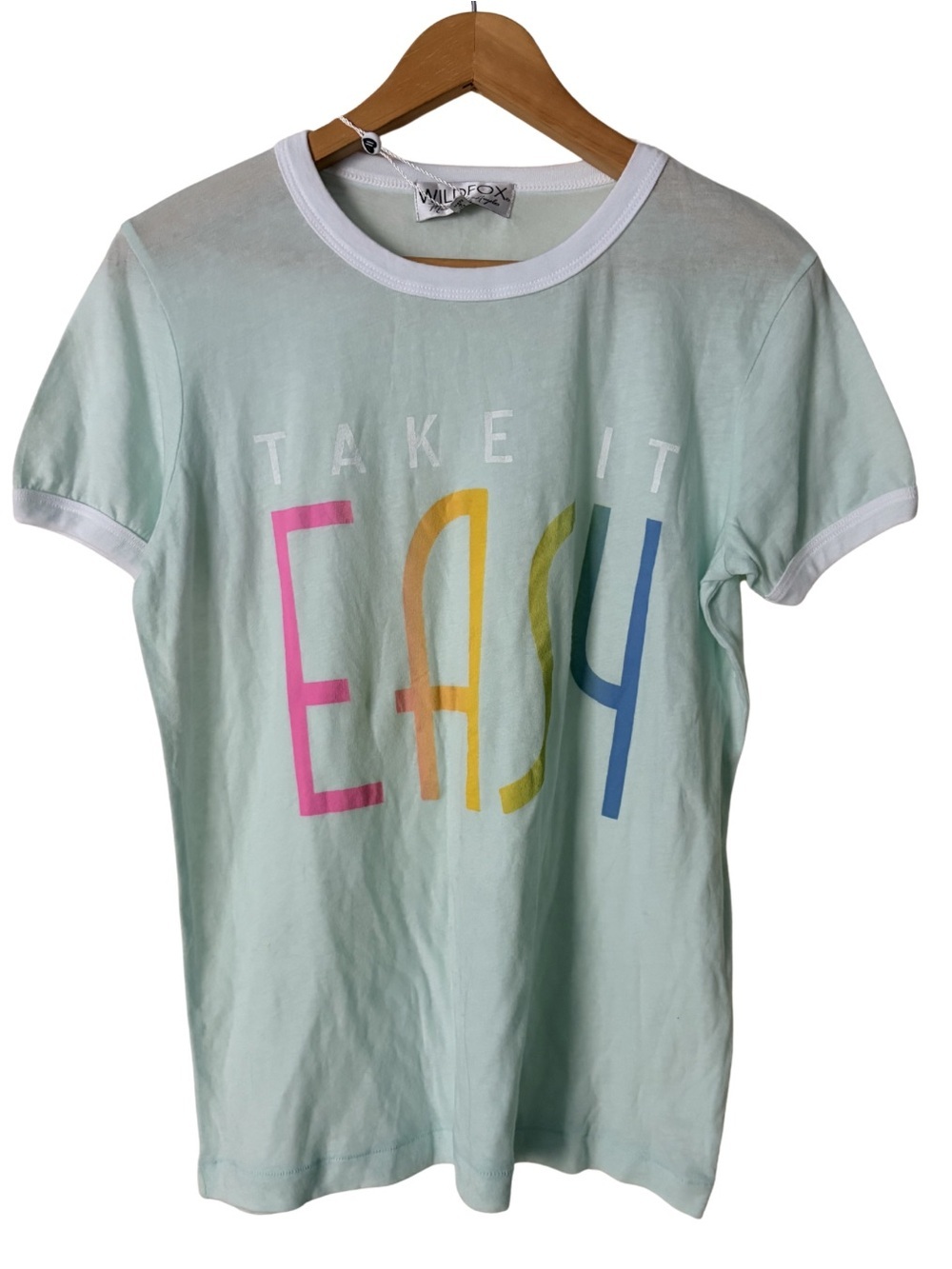NWT Wildfox Take It Easy Pastel Mint Graphic Lightweight Vintage T shirt, Small